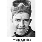 Wally Gibbins head shot