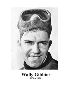 Wally Gibbins head shot